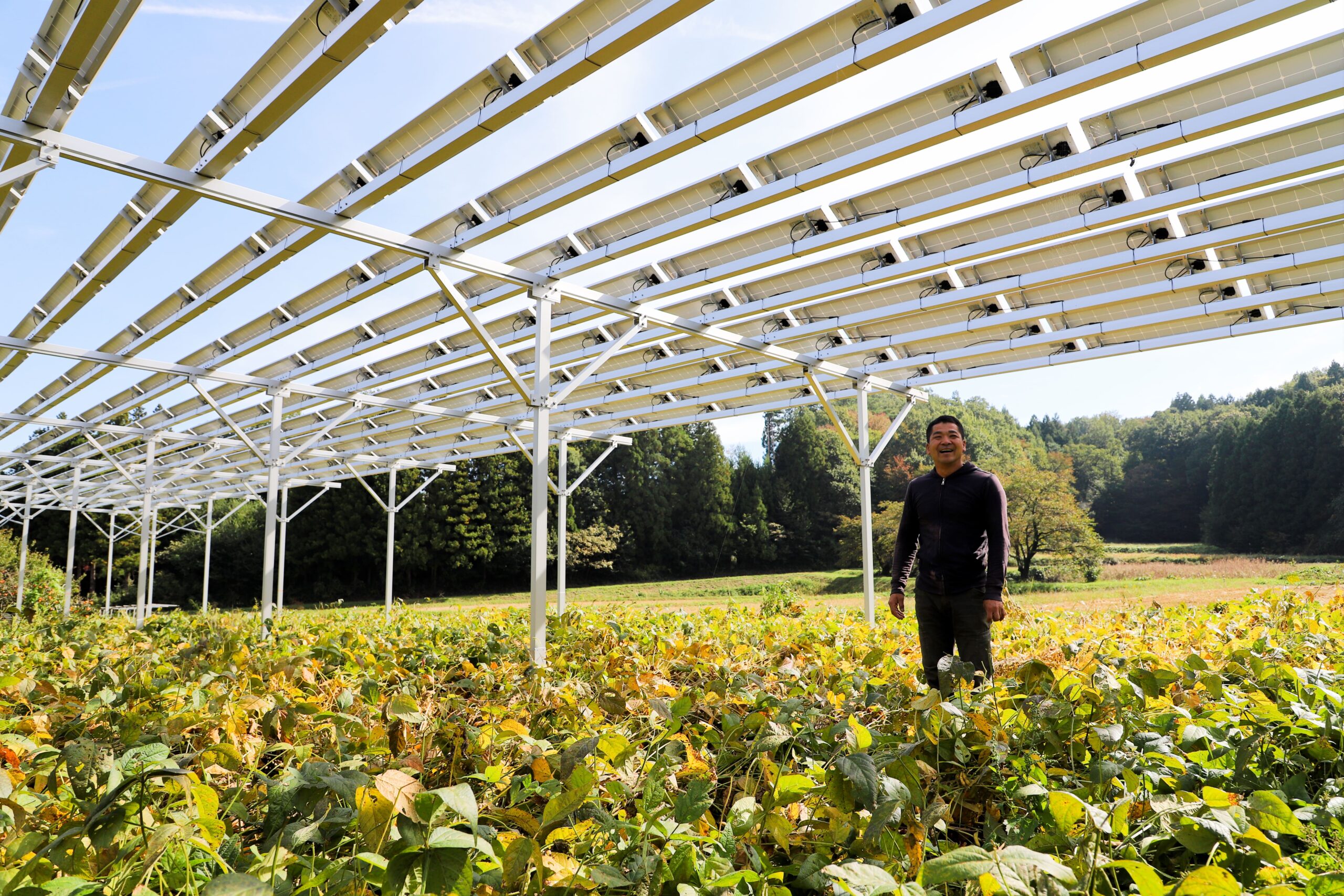 二本松有機農業研究会のソーラーシェアリング