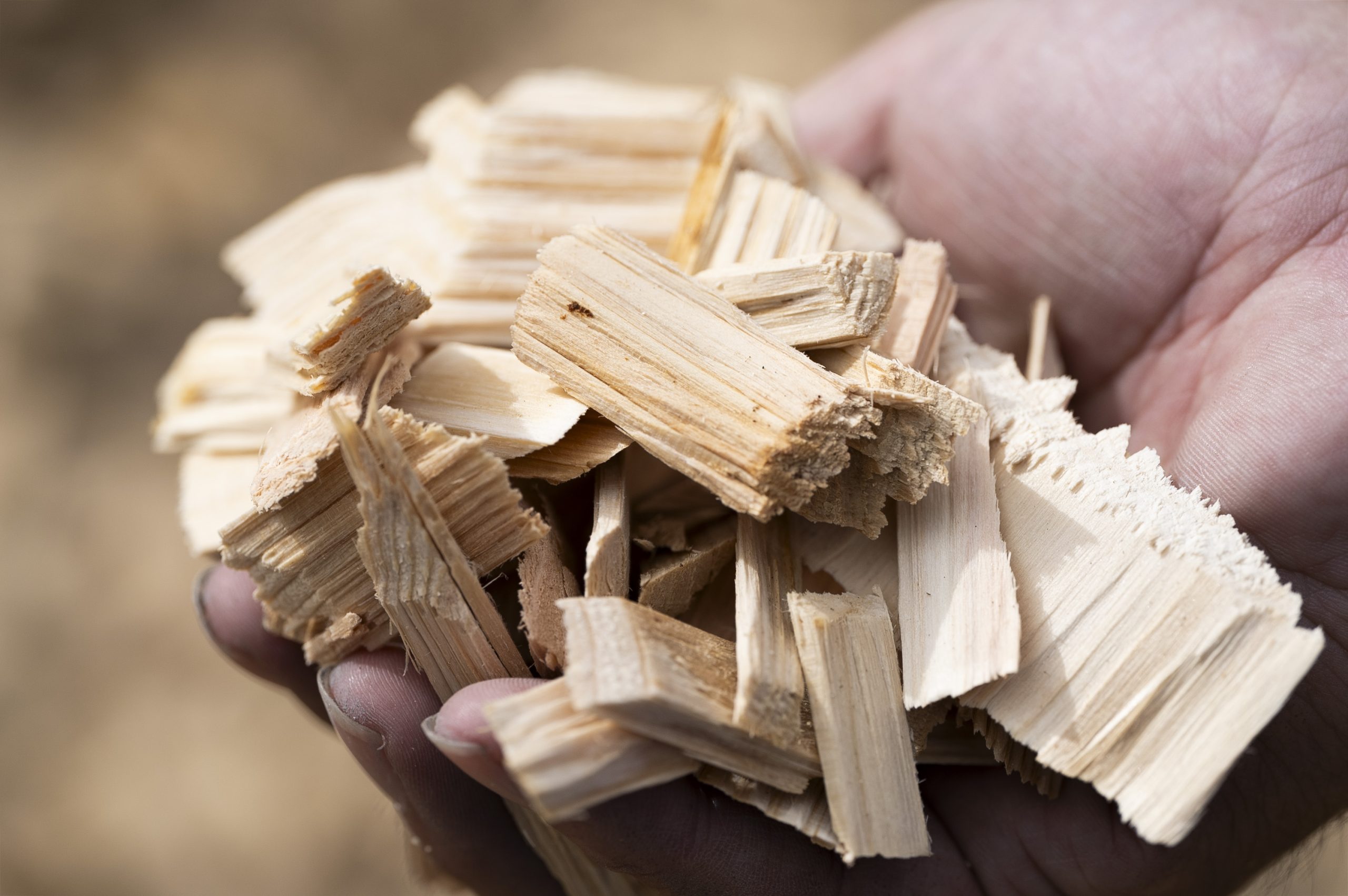 杉のチップを活用したバイオマス発電