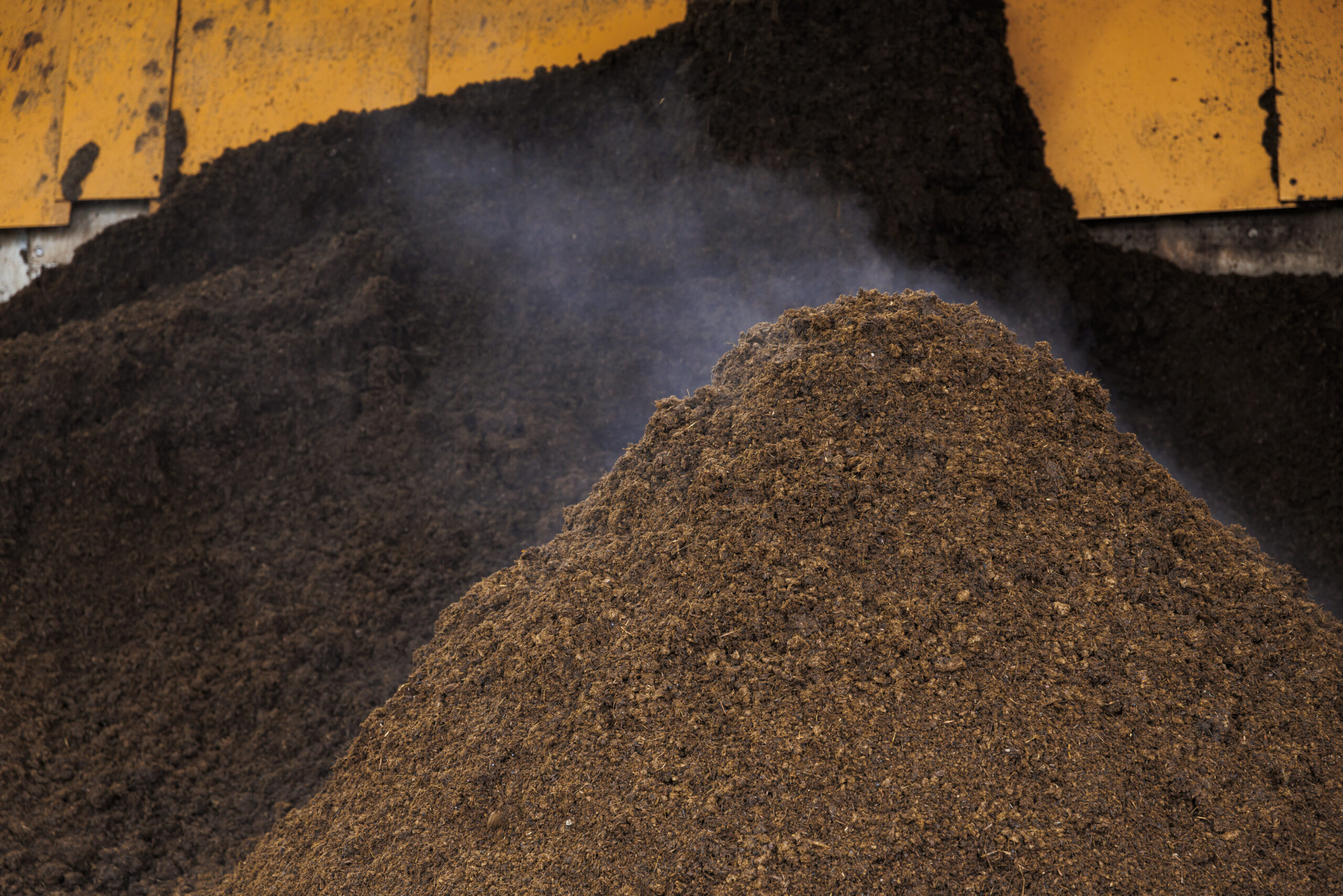 牛ふんを使ったバイオガス発電の原料