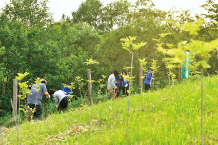 組合員も参加した植樹活動は今も続いている