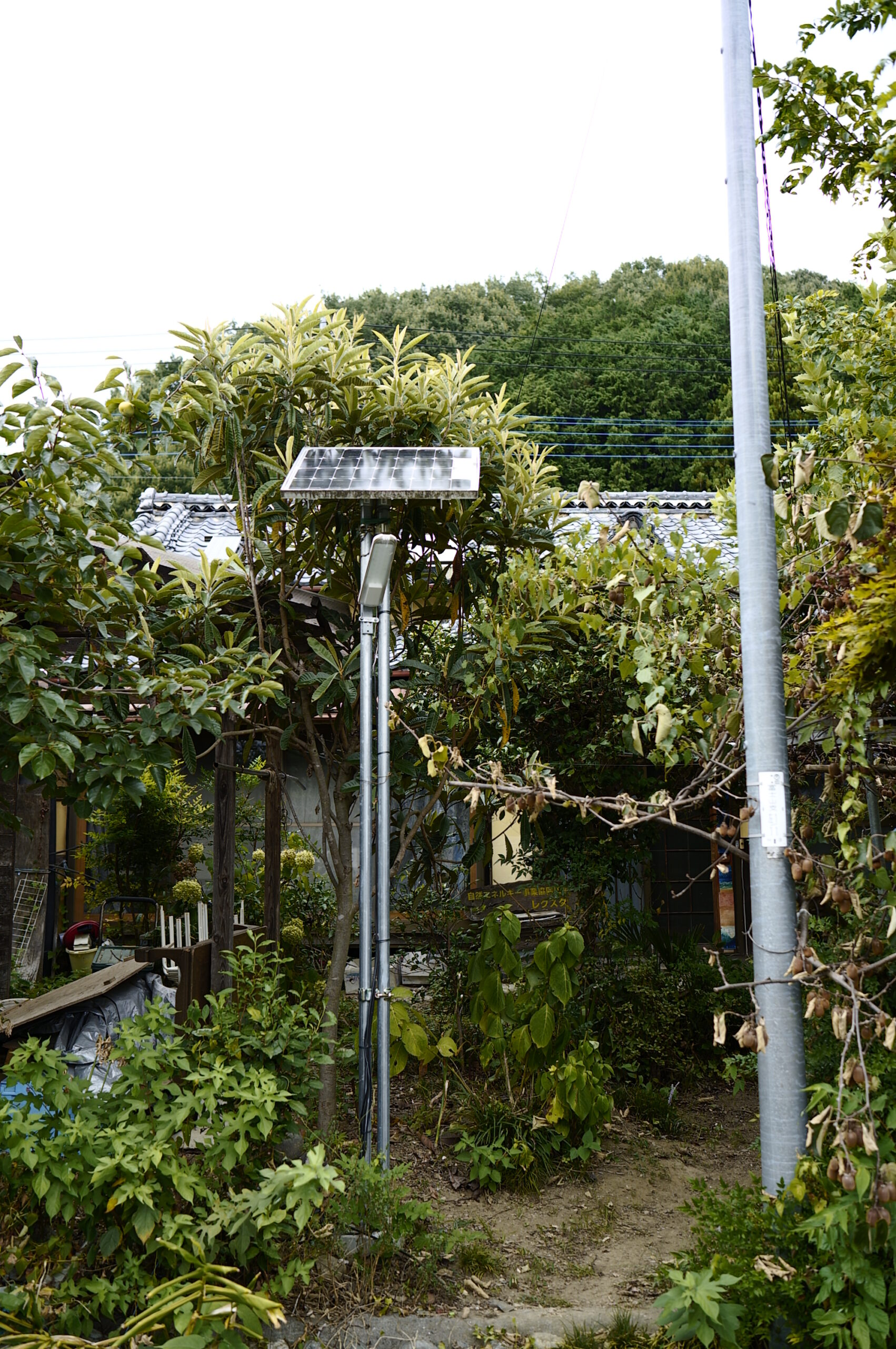 太陽電池製作の様子