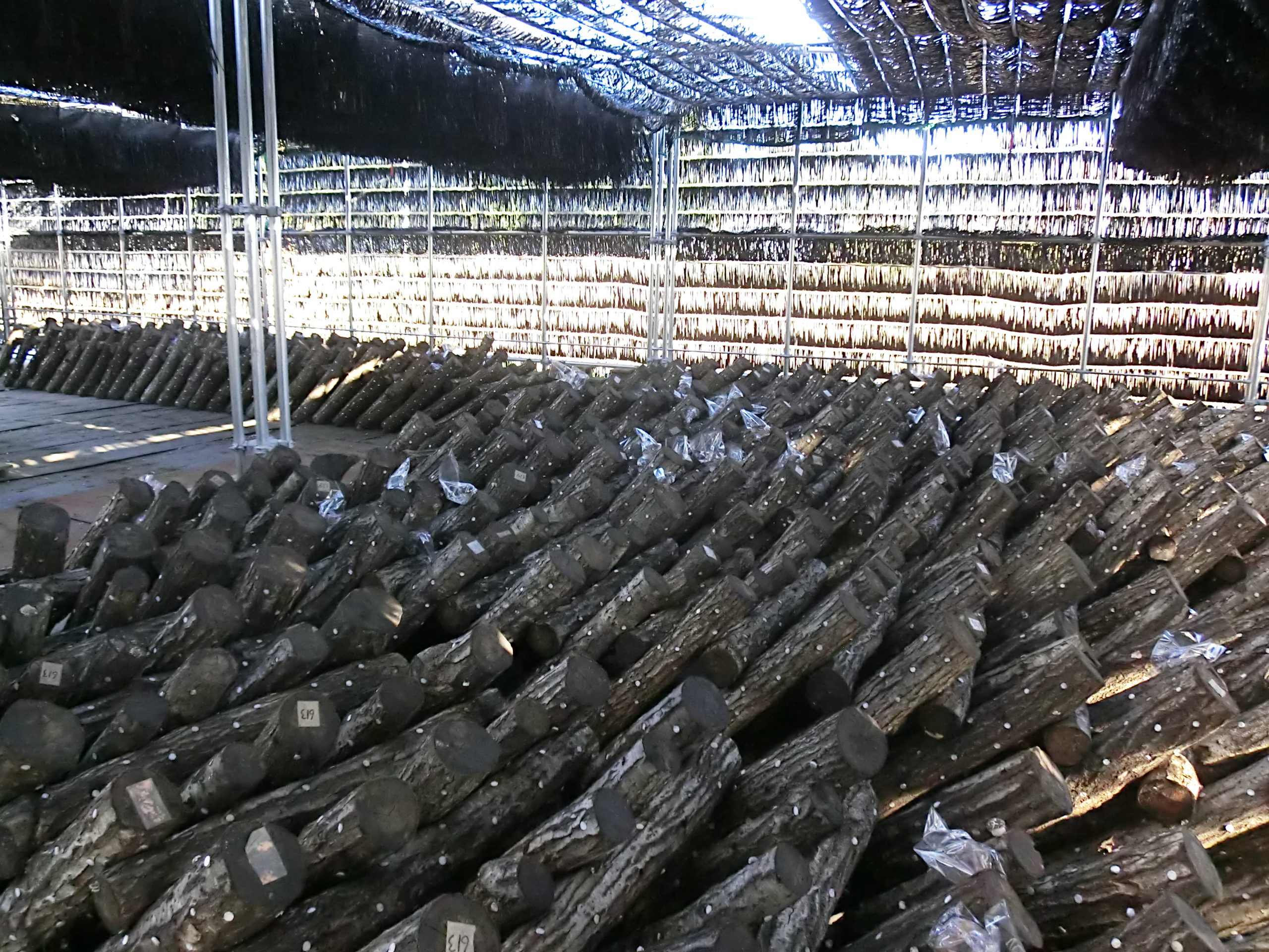 森のソーラーでのソーラーシェアリング